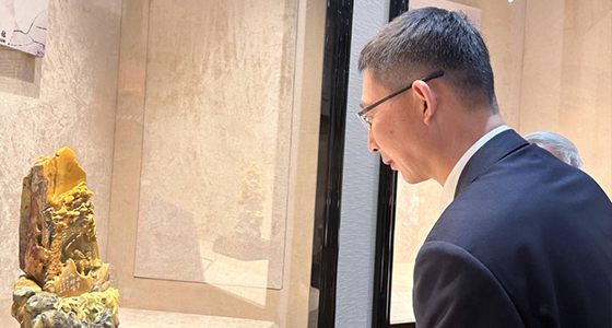 Vice Chairman of the Chinese Federation of Overseas Chinese, Gao Feng, visited Ante  Ni Dongfang Art Museum to investigate the development of the Qingtian stone carving industry